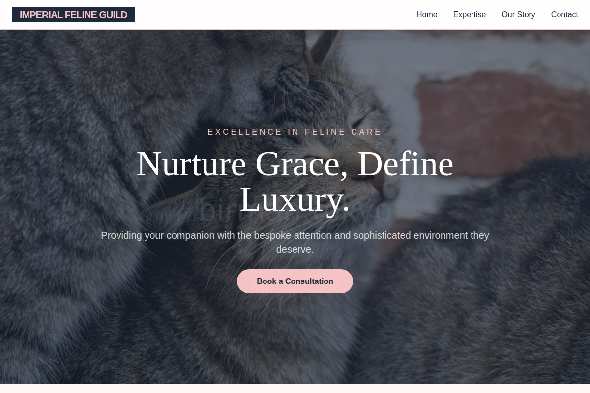 Muse Animal Care