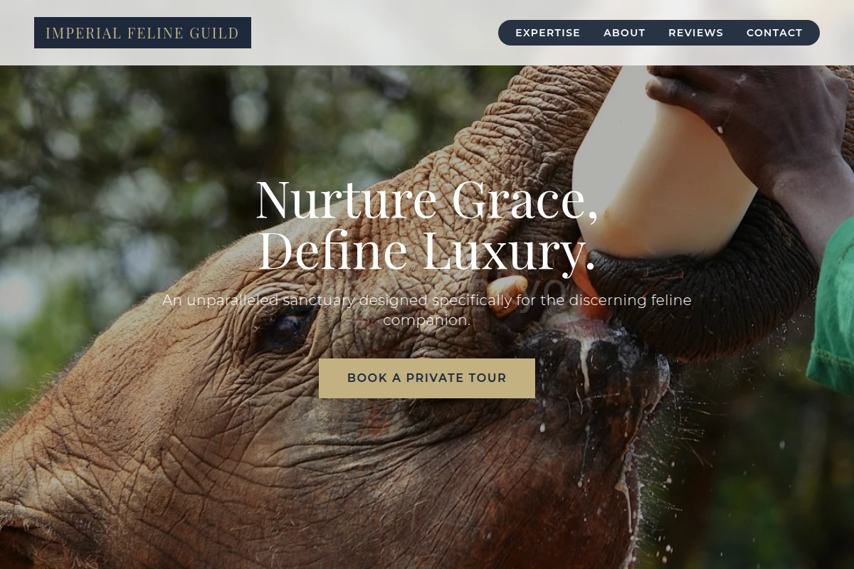 Neko Animal Care