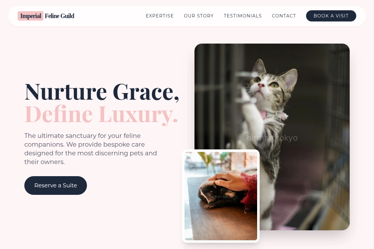 Meow Animal Care