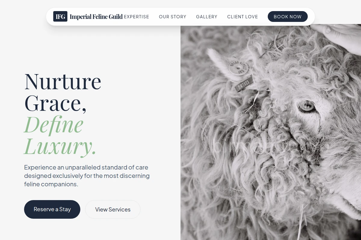 Origami Animal Care