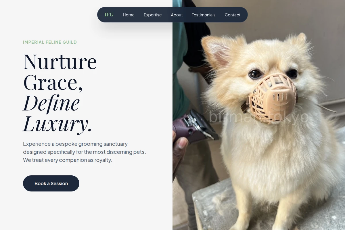 Velvet Pet Grooming