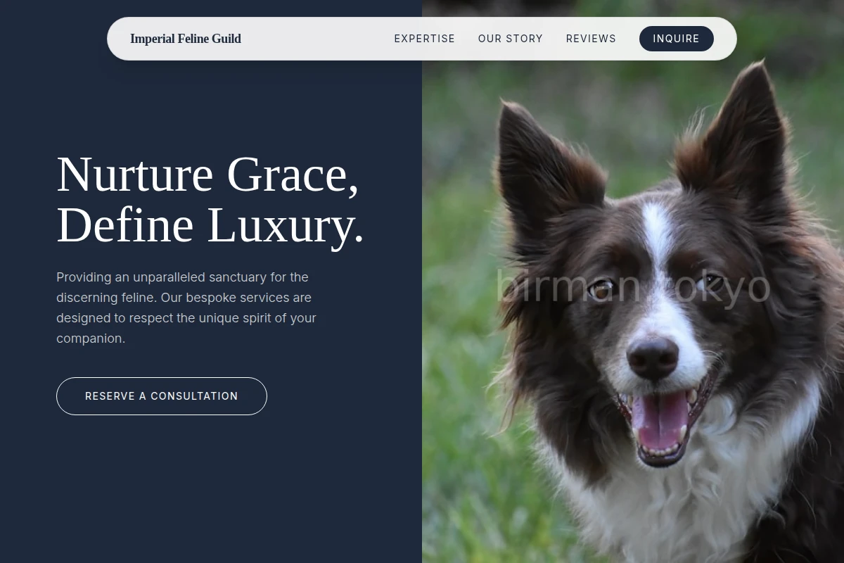 Pearl Pet Services